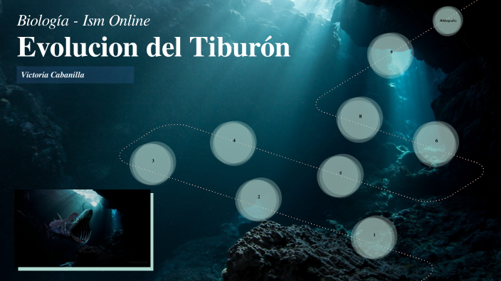 evolución de la línea de tiempo de los tiburones