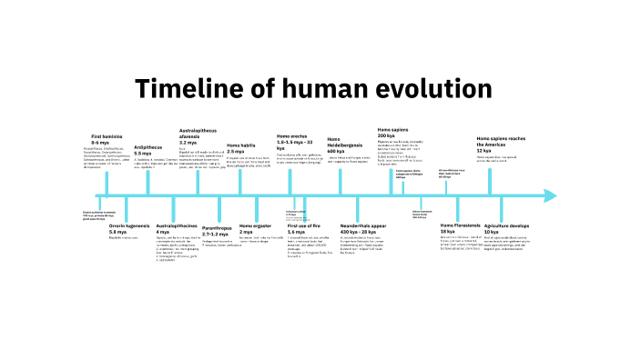 Evolution timeline by Ben Brodie on Prezi
