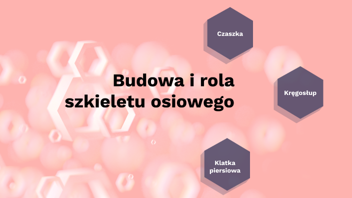 Budowa i rola szkieletu osiowego by Sylwia Kaniewska on Prezi