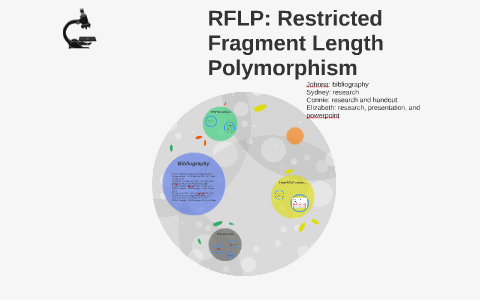 RFLP: Restricted Fragment Length Polymorphism by elizabeth moore on Prezi