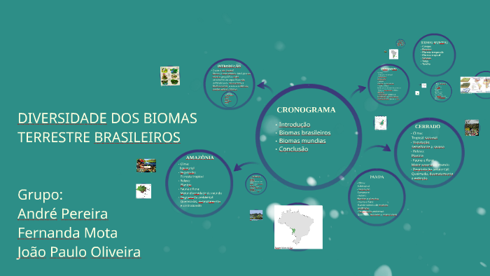 Diversidade dos biomas terrestres brasileiros by Fernanda Mota on Prezi