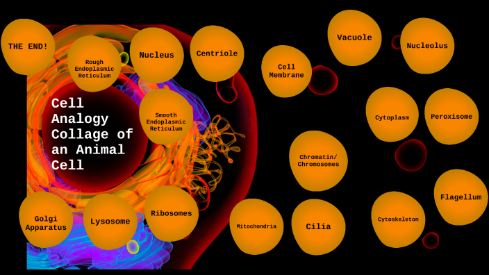 Cell Analogy Collage By Alexis Grady On Prezi