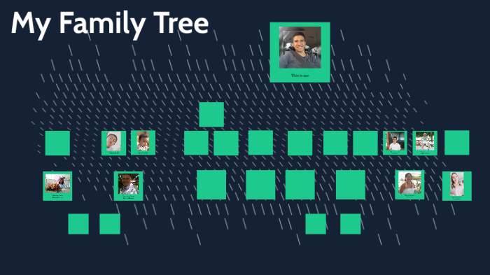 My family tree by Alejandro Herrera Castro on Prezi