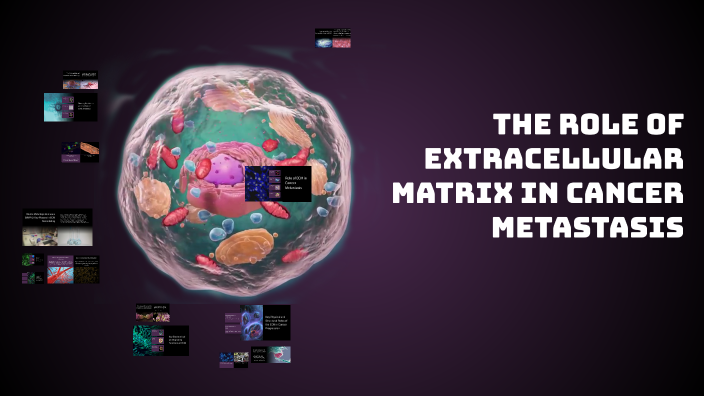 The Role of Extracellular Matrix in Cancer Metastasis by Jopaayy on Prezi