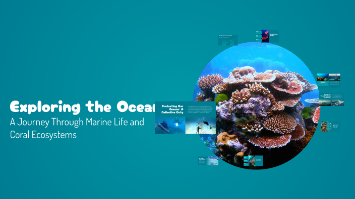 Exploring the Ocean by caroline Evers on Prezi