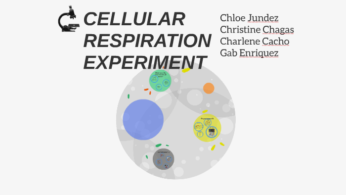 cellular respiration experiment matriculation