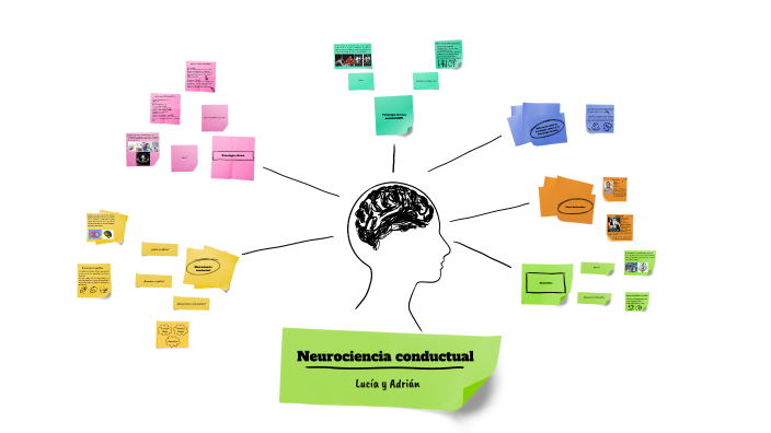 Neurociencia conductual by Lucía López Moratalla on Prezi