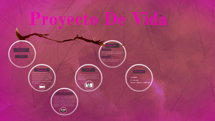 Proyecto De Vida by Angie Marcela Diaz Cruz on Prezi