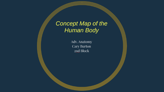 Concept Map of the Human Body by Cary Burton