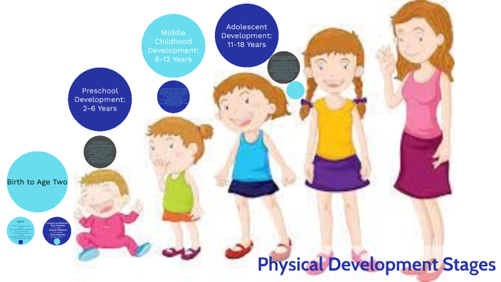 Physical Development Stages by Addison Inabnit on Prezi