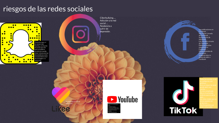 Riesgos de las redes sociales by Camila Chavarria Cubillo on Prezi