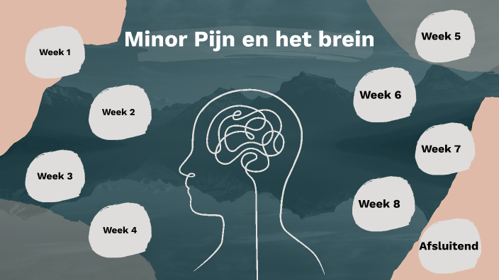 Minor Pijn en het brein by Linda Hegger on Prezi