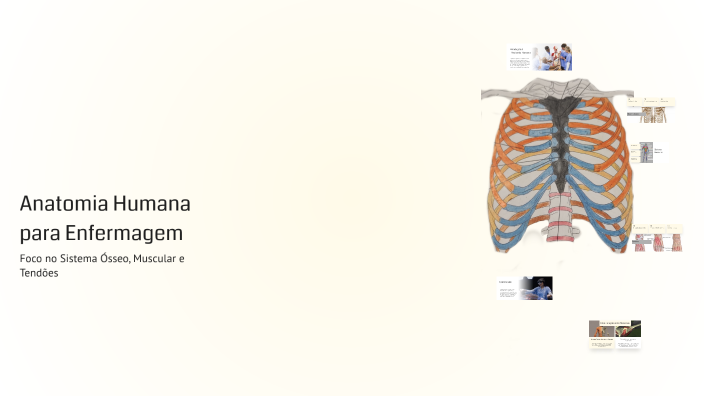 Anatomia Humana para Enfermagem by Ana Paula Lima Da Silva on Prezi