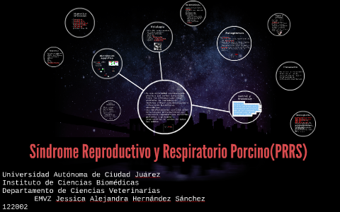 Síndrome Reproductivo y Respiratorio Porcino (PRRS) by Jessica ...