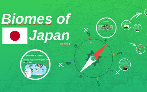 biomes of Japan by jen lambert on Prezi