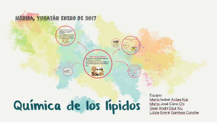 Quimica De Los Lipidos By Lizzie Gamboa On Prezi
