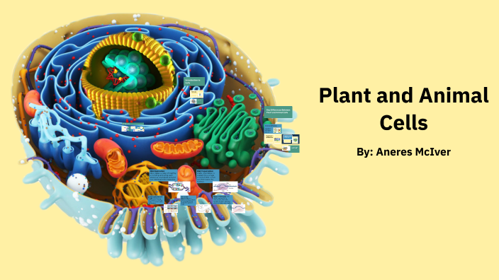 Plant and Animal Cells by Aneres McIver on Prezi