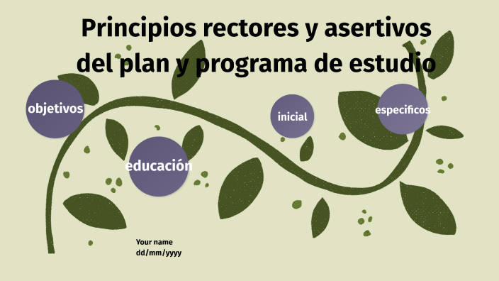 Principios Rectores Y Asertivos Del Plan Y Programas De Estudios By ...