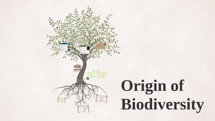 Evolution and Origin of Biodiversity by Andrea Amor Ureta on Prezi