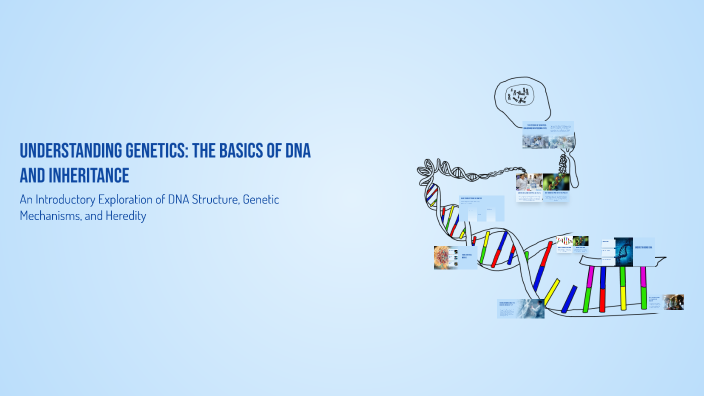 Understanding Genetics: The Basics of DNA and Inheritance by leslie ...