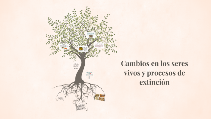 Cambios En Los Seres Vivos Y Procesos De Extinción By Blanca Munguia On Prezi 2762