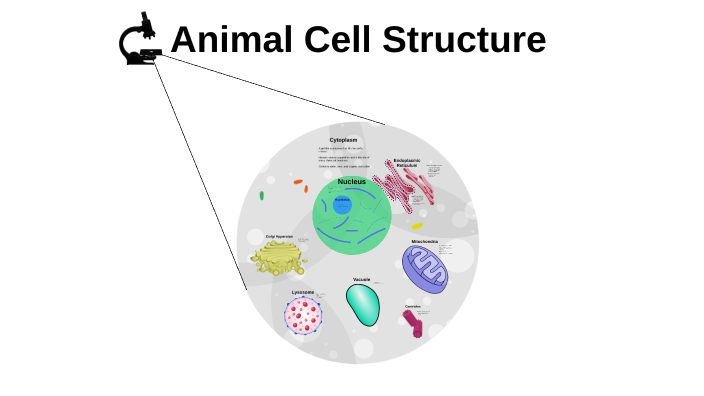 Animal Cell Structure by Jake Duval on Prezi