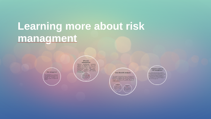 Learning more about risk managment by Hana Dogovic on Prezi