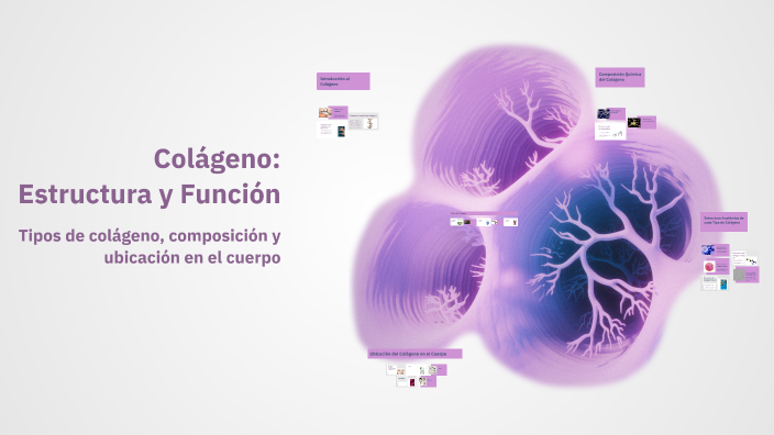 Colágeno: Estructura y Función by Carlos Farinango on Prezi