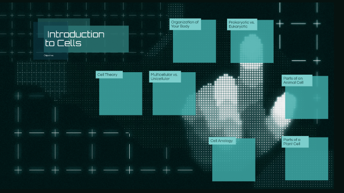 Introduction to Cells by Alissa Wiederholt on Prezi