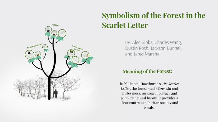 Symbols Chart For The Scarlet Letter