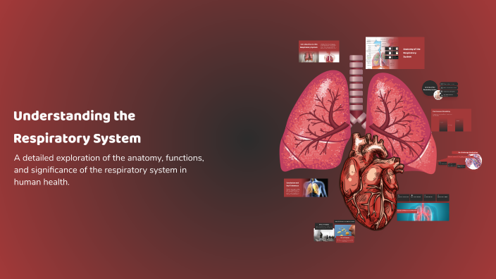 Understanding the Respiratory System by James Valdez on Prezi