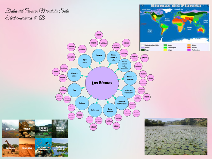 Los Biomas by Dalia Mendiola Soto on Prezi