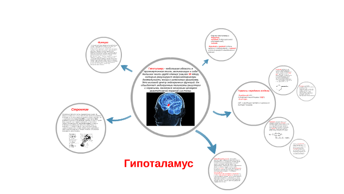 Гип by Perekhod Stas on Prezi