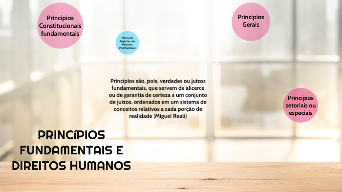 PRINCÍPIOS FUNDAMENTAIS E DIREITOS HUMANOS by Ellen Pereira on Prezi