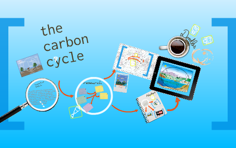 the Carbon Cycle by mohammed umar on Prezi