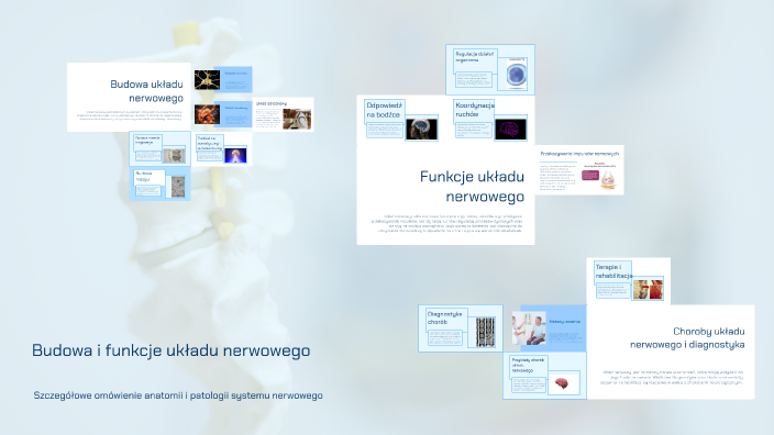 Budowa i funkcje układu nerwowego by Joanna Turkoć on Prezi