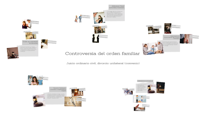 Controversia del orden familiar by Luis Fernando Gonzalez Echeverria on