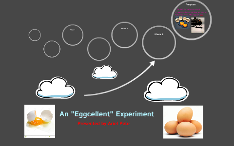 eggcellent experiment