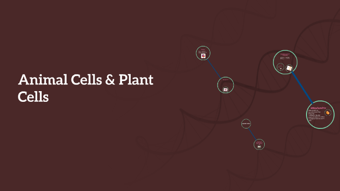 Animal Cells by on Prezi
