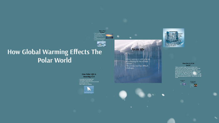How Global Warming Effects The Polar World by Nicole Ray on Prezi