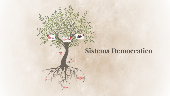 Sistema Democratico By Magaly Báez
