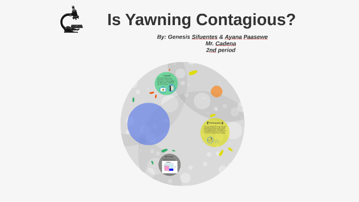 Is Yawning Contagious? By Ayana Paasewe On Prezi