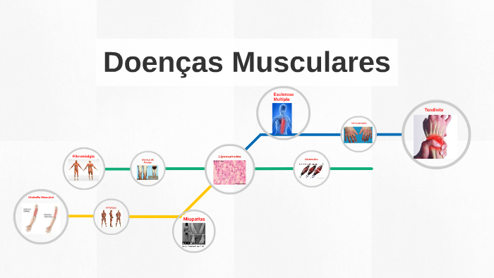 Doenças Musculares by Beatriz Barbosa on Prezi