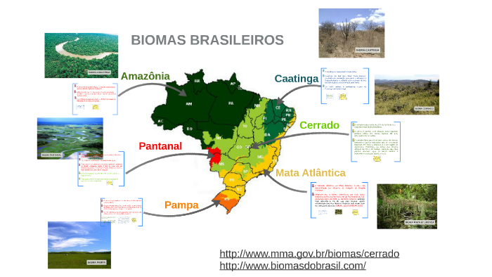 Biomas Brasileiros by mariana proença on Prezi
