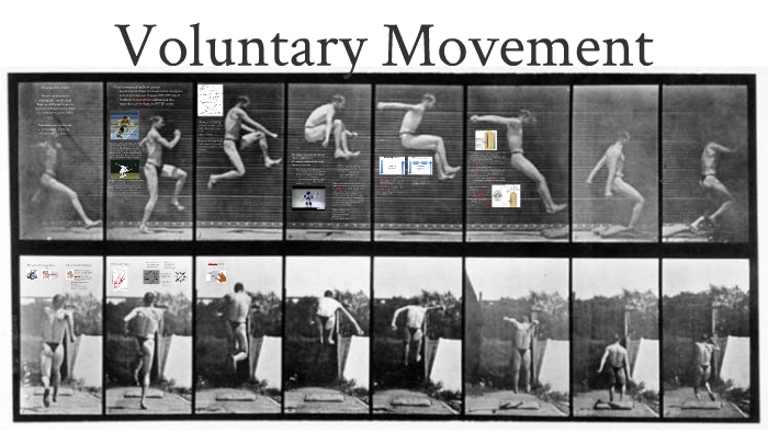 lecture-11-voluntary-movement-by-michael-jarcho