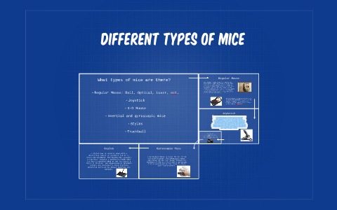 Different types of mice by Alex Blaisdell on Prezi
