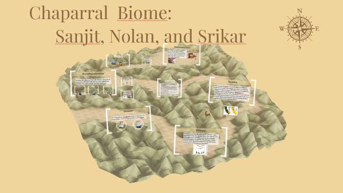 Chaparral Biome Project By Bill Johnson On Prezi