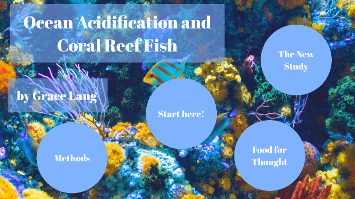coral reef fish & climate change by Grace Lang on Prezi