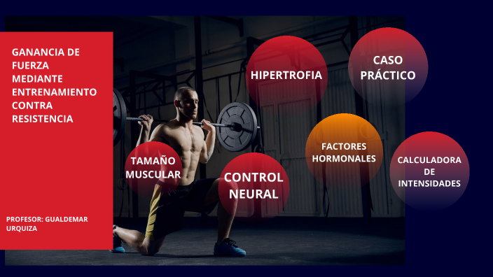 ADAPTACIONES AL ENTRENAMIENTO DE LA FUERZA by gualdemar
