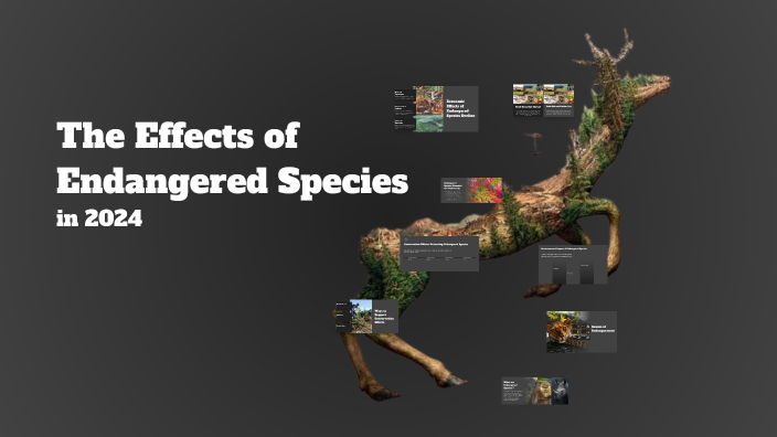Understanding Endangered Species: Causes, Impacts, and Conservation by ...